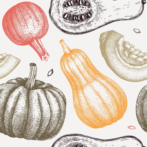 Wzór z ręcznie rysowane ilustracji projektu dynie Dziękczynienia