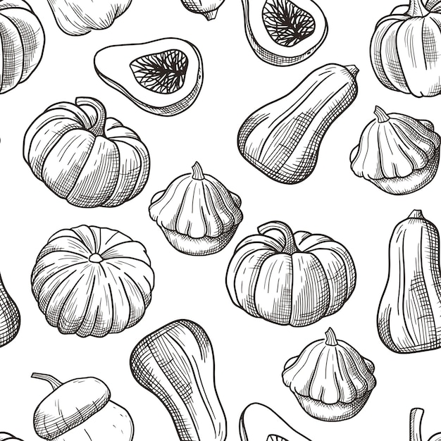 Wzór z różnych jesiennych dyń Spadek zbiorów Handdrawn ilustracji wektorowych na białym tle