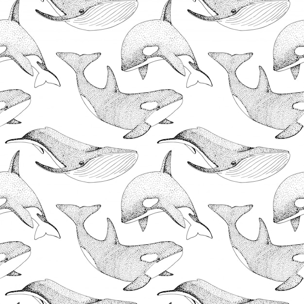 Plik wektorowy wzór z wielorybów, orków i innych ryb.