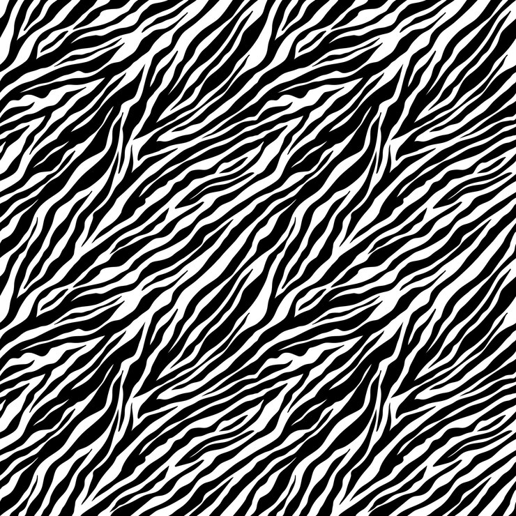 Wzór zebry Czarno-białe paski zebry Materiał tkaniny skóry wektor zoo Nadruk zwierzęcy