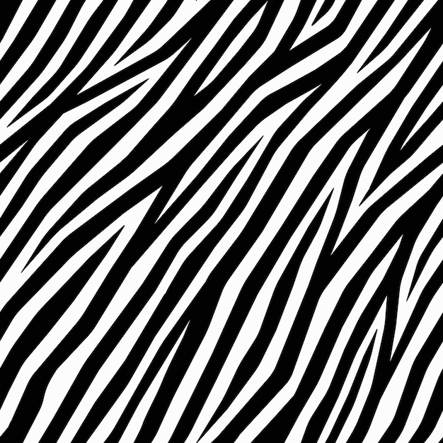 Wzór zebry czarno-białe tło graficzne Wektor zebry drukuj tekstylia meble tkaniny moda lub projektowanie wnętrz Styl afrykański Wektor zebra paski tło Ukośna skóra zebry