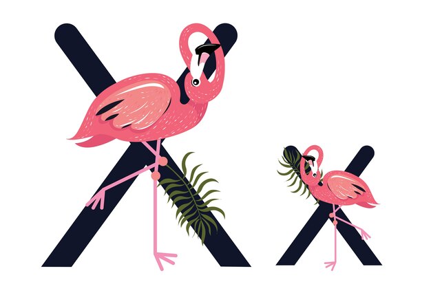 Xx Flamingos