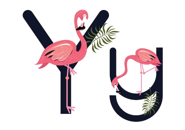 Yy Flamingos