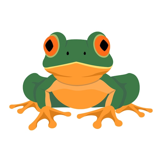 Żaba zielona Agalychnis callidryas