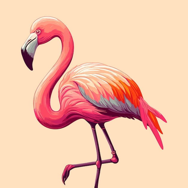 Zabawny Flamingo W Stylu Wektorowym Wyizolowany Na Białym