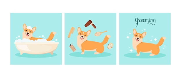 Zabawny Pies Corgi Myje Się W łazience Grooming Cartoon Design