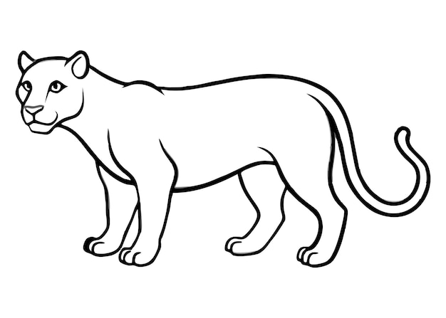 zarys projektu ilustracji wektorowej Panther