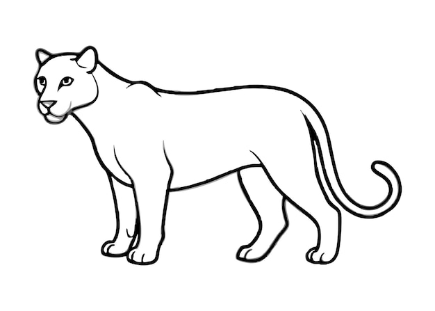 zarys projektu ilustracji wektorowej Panther