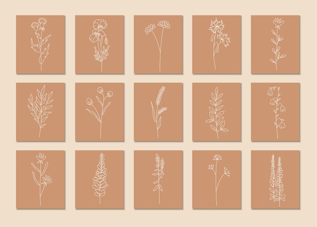 Plik wektorowy zarys roślin zestaw rysowanie linii sztuka polne kwiaty zestaw roślin botanicznych na białym tle prosty projekt artystyczny