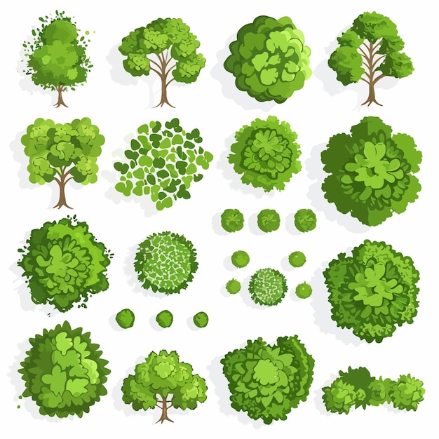 Plik wektorowy zbiór drzew o różnych kształtach i rozmiarach liści