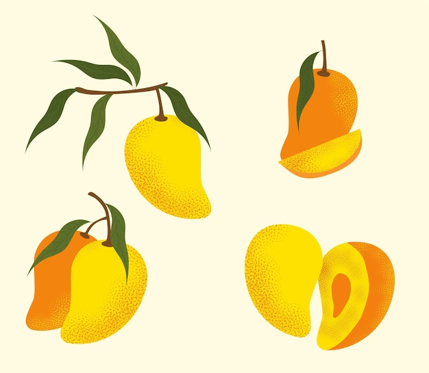 Zbiór Koncepcji Wektora Mango