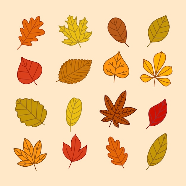 Plik wektorowy zbiór różnych ręcznie rysowanych jesiennych liści