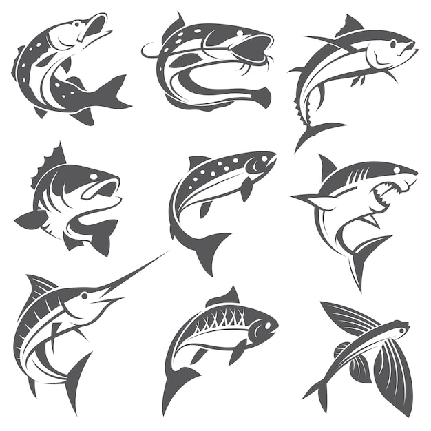 Zbiór Różnych Rodzajów Ryb