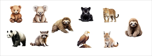 Zbiór uroczych i realistycznych ilustracji zwierząt przedstawiających różne gatunki wektorów