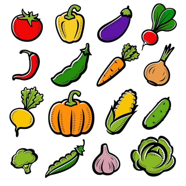 Zbiór warzyw zestaw ilustracji wektorowych