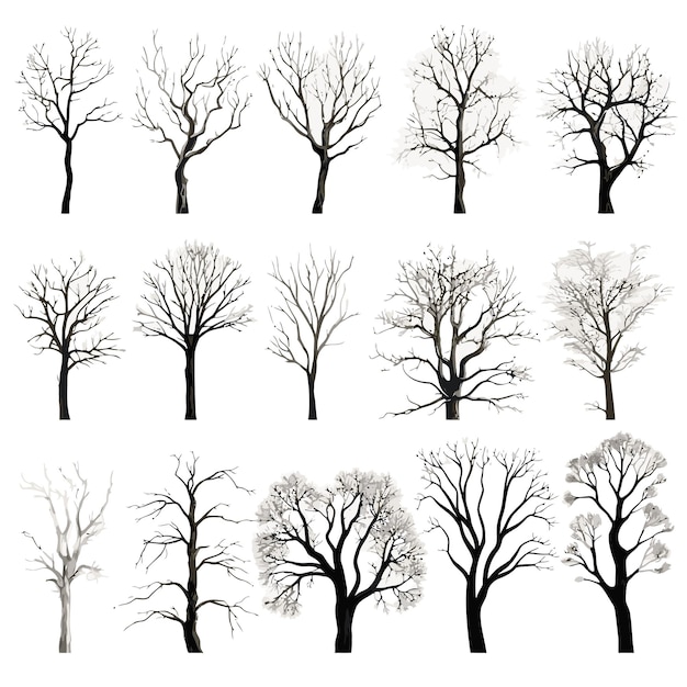 Zbiór wektorów zimowego drzewa