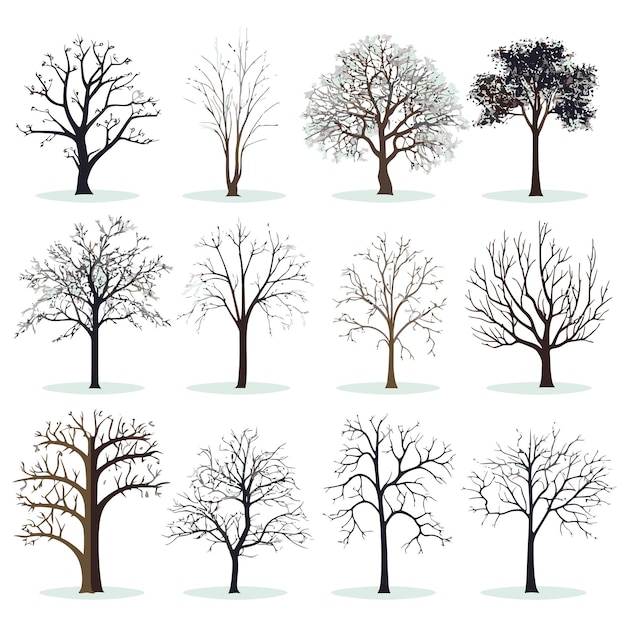 Zbiór wektorów zimowego drzewa