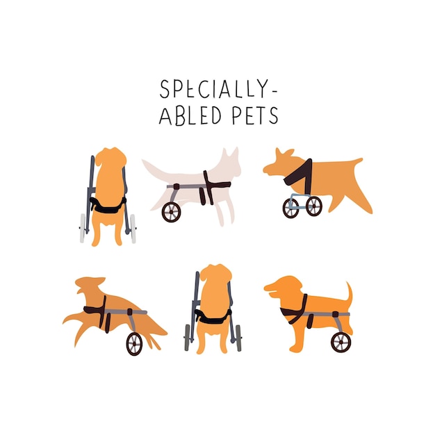 Plik wektorowy zdjęcie psa na wózku inwalidzkim i psa na nim niepełnosprawnych psów