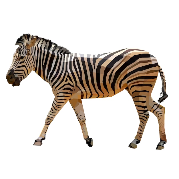 Zebra Chodzenie Na Geometrycznej Pop-artu Z Białym Tłem
