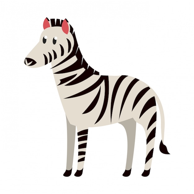 Zebra dzikie zwierzę