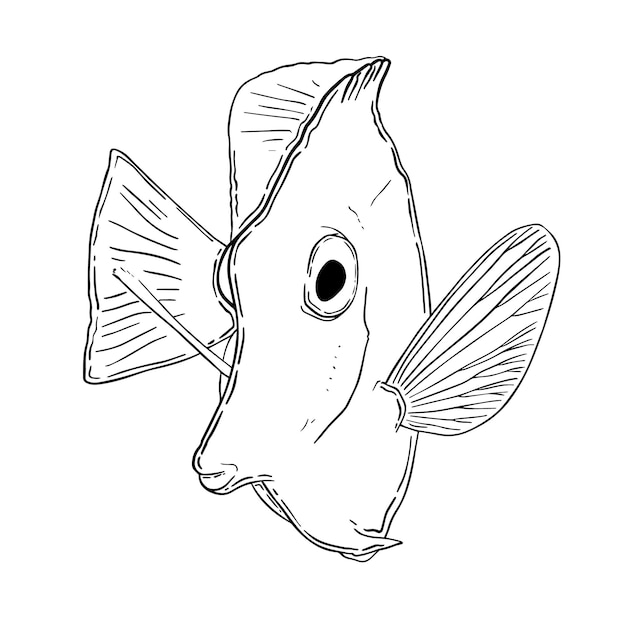 Plik wektorowy zebrasoma żółte ryby akwariowe doodle liniowe