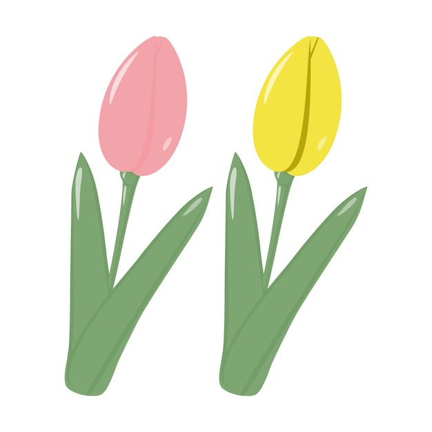 Plik wektorowy zestaw 2 kwitnących kwiatów tulipanów na bukiety w modnych kolorach witam wiosenną ikonę naklejki izolowanie eps ilustracja wektorowa dla plakatu baneru broszury pozdrowienia lub zaproszenia etykieta cenowa lub strona internetowa