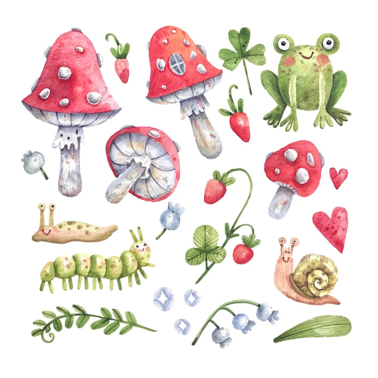 Wektor zestaw akwareli leśnych ilustracji, muchomora, poziomek, roślin leśnych, żab, ślimaków h