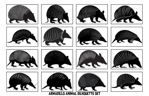 Zestaw Armadillo Silhouette Armadillo Walking Silhouette Czarna sylwetka armadillo vintage retro hipster armadillo logo