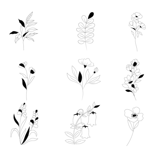 Zestaw botanicznych liści doodle kwiat linii sztuki