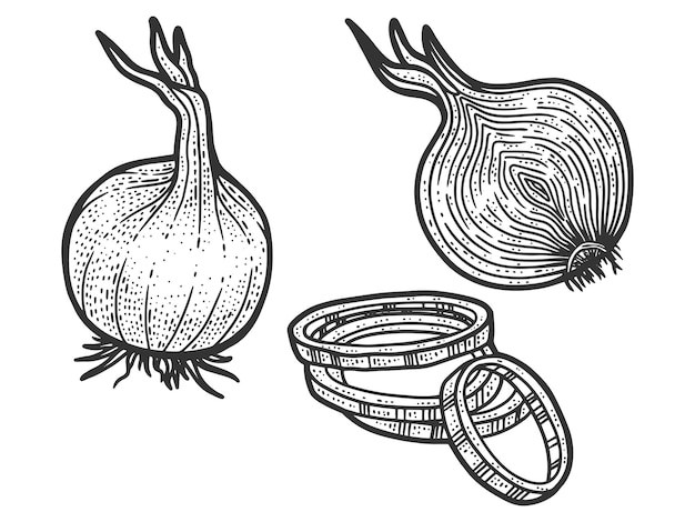 Zestaw Cebuli W Trzech Rodzajach Szkic Imitacja Deski Do Zdrapywania Czarno-biały
