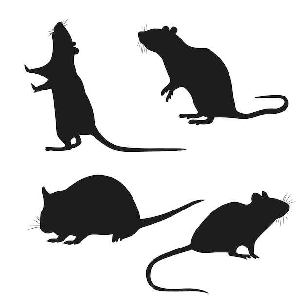 Zestaw czarnych sylwetek szczurów na białym tle ilustracji wektorowych
