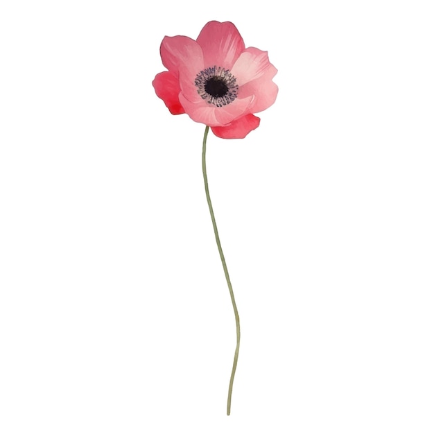 Zestaw dekoracji kwiatowej Arrangementy botaniczne z kolorowymi kwiatami Gałąź liści Elementy kwiatowe do wizytówki ślubnej lub logo Kompozycja projektowania Ilustracja wektorowa