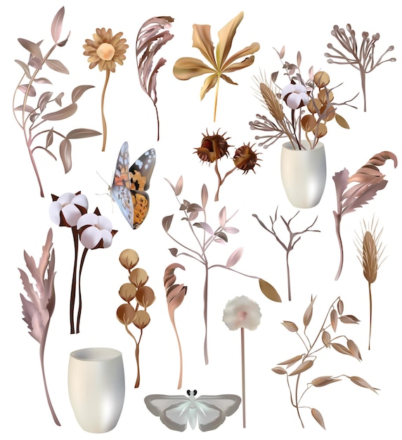 Plik wektorowy zestaw dekoracji liście bawełna suche zioła ozdoba kwiat drzewo gałąź motyl ikony wektorowe