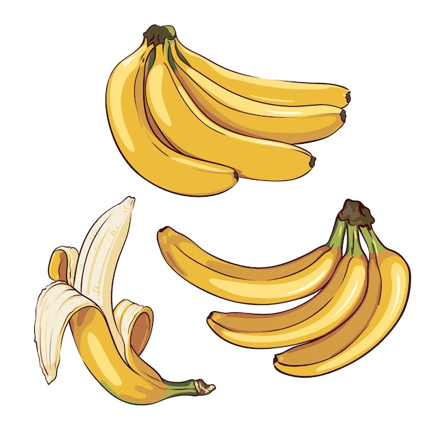 Zestaw Dojrzałych Bananów Na Białym Tle, Kolekcja Ręcznie Rysowanych Elementów Bananowych