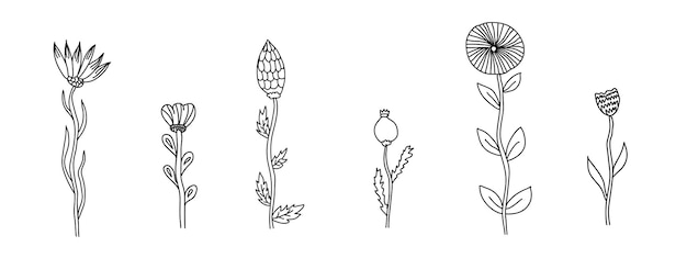 Zestaw Doodle Szkic Ręcznie Rysować Wektor Kwiaty Maku I Fantasy