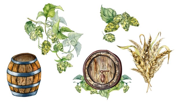 Plik wektorowy zestaw drewnianej beczki piwa i winorośli chmielowej ilustracji akwarelowej izolowanej na białym vintage