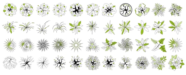 Zestaw drzew i roślin widok z góry do projektowania krajobrazu Zestaw ikon trawy liścia dla planu mapy projektu
