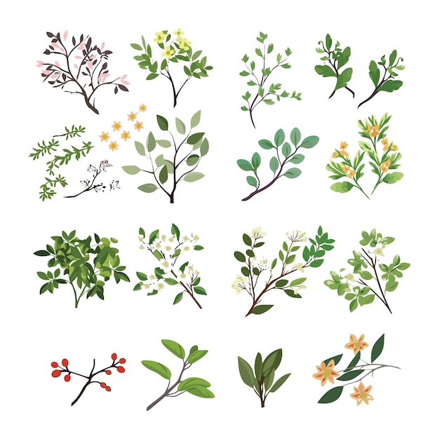 Plik wektorowy zestaw elementów kwiatowych i zielonych liści