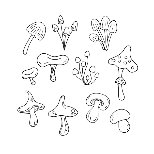 Zestaw elementów ładnych grzybów Kolekcja elementów konturu doodle do kolorowania książki dla dzieci