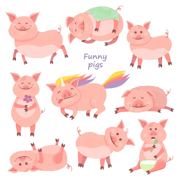 Zestaw Funny Piggy