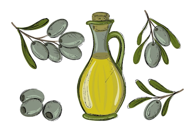 Zestaw Gałęzi Zielonych Oliwek I Pozostawia Butelki Ilustracji Wektorowych Odręcznych Oliwy Z Oliwek