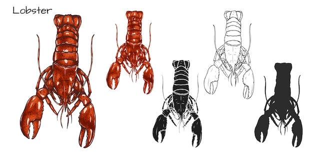 Zestaw homara na białym tle