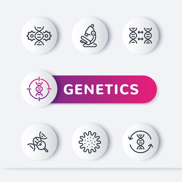 Zestaw Ikon Linii Genetyki, Modyfikacja Genetyczna, Test Dna