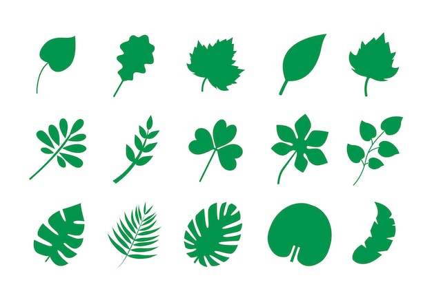 Plik wektorowy zestaw ikon liści. różne zielone liście roślin. płaskie ikony wektorowe.