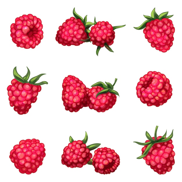 Plik wektorowy zestaw ikon malin wektor kreskówek słodka żywność dżem owocowy