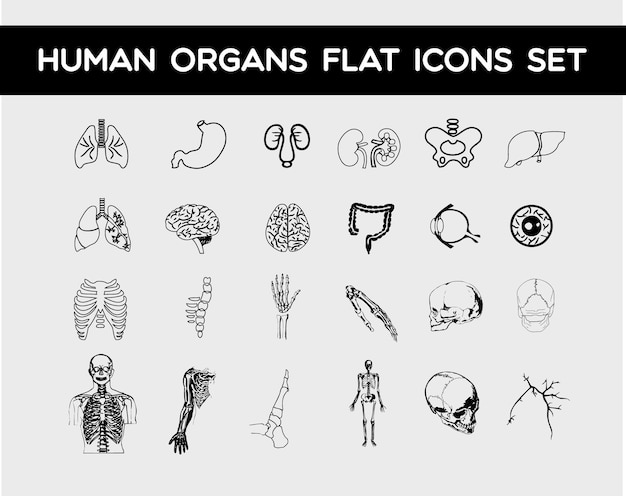 Zestaw Ikon Płaskich Narządów Ludzkich