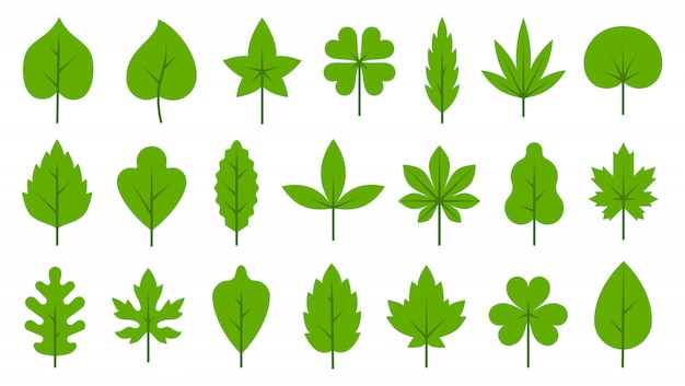 Zestaw ikon płaskie zielone liście. Bio Organic Eco prosty liść symbol
