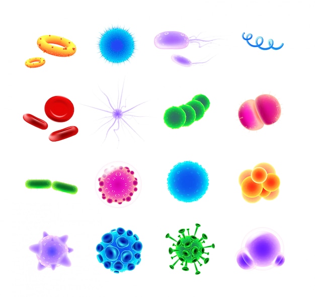 Zestaw Ikon Realistycznych Typów Bakterii