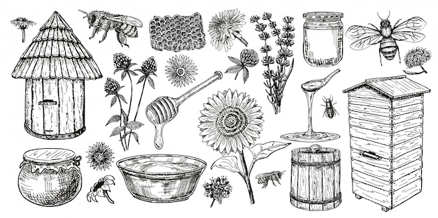 Zestaw ikon szkic pszczelarstwa. Miód vintage zestaw z ula pszczoły, szklany słoik i łyżka, pszczoły, kwiaty miodnika. Rysunek pasieki obiektów. ilustracja.