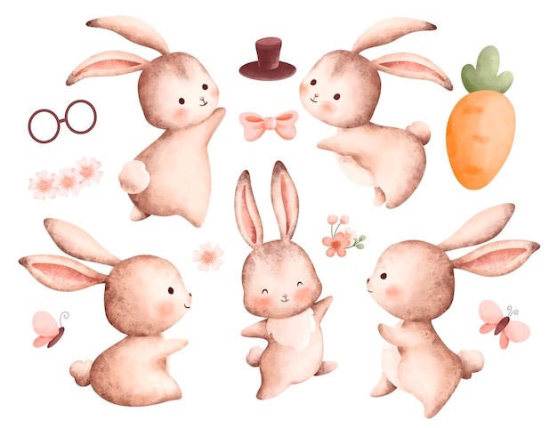 Zestaw ilustracji akwarela królik i akcesoria